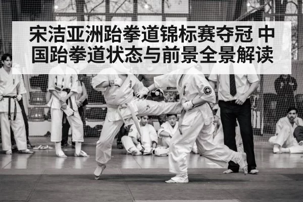 宋洁亚洲跆拳道锦标赛夺冠 中国跆拳道状态与前景全景解读