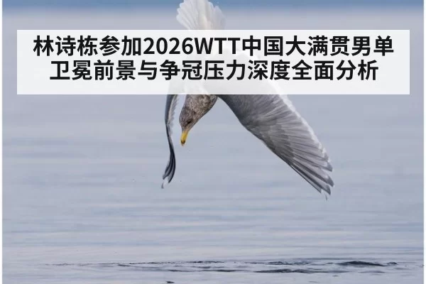 林诗栋参加2026WTT中国大满贯男单 卫冕前景与争冠压力深度全面分析